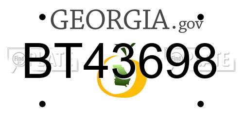 BT43698 Georgia License Plate