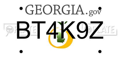 BT4K9Z Georgia License Plate