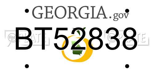 BT52838 Georgia License Plate