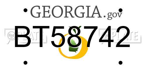 BT58742 Georgia License Plate
