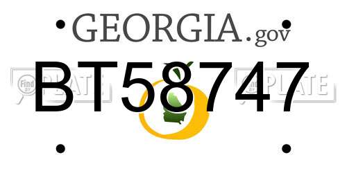 BT58747 Georgia License Plate