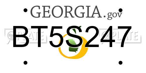 BT5S247 Georgia License Plate