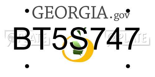BT5S747 Georgia License Plate