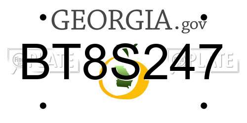 BT8S247 Georgia License Plate