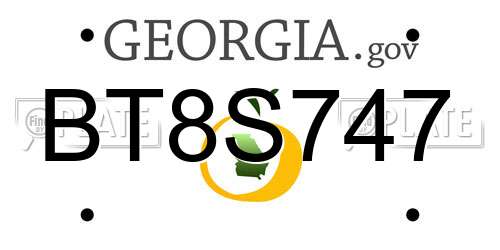 BT8S747 Georgia License Plate