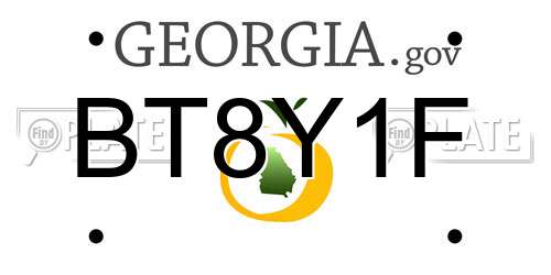 BT8Y1F Georgia License Plate