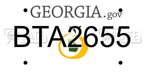 BTA2655 Georgia License Plate