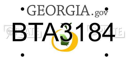 BTA3184 Georgia License Plate