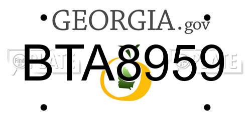 BTA8959 Georgia License Plate