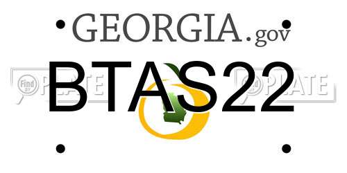BTAS22 Georgia License Plate