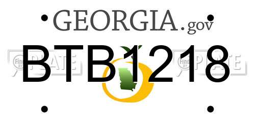 BTB1218 Georgia License Plate