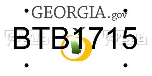 BTB1715 Georgia License Plate