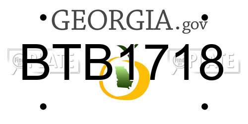 BTB1718 Georgia License Plate