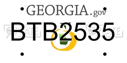 BTB2535 Georgia License Plate