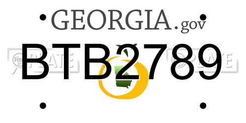 BTB2789 Georgia License Plate