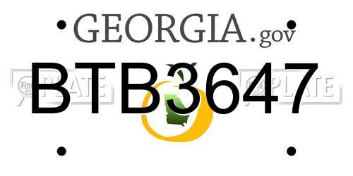 BTB3647 Georgia License Plate