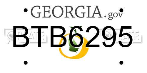 BTB6295 Georgia License Plate