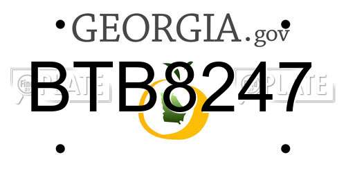 BTB8247 Georgia License Plate