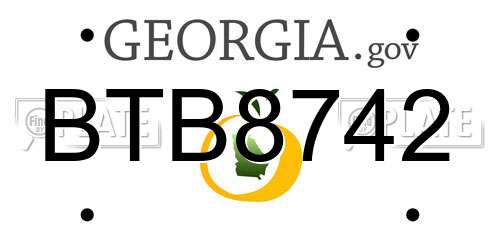 BTB8742 Georgia License Plate
