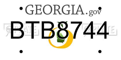 BTB8744 Georgia License Plate