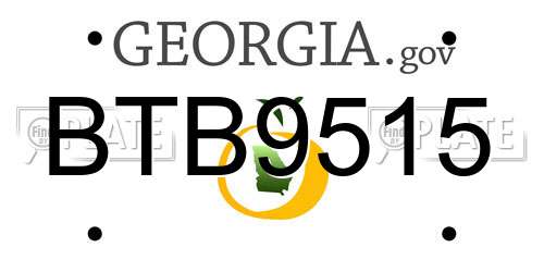 BTB9515 Georgia License Plate