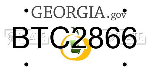 BTC2866 Georgia License Plate