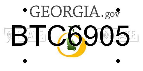 BTC6905 Georgia License Plate