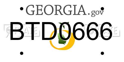 BTD0666 Georgia License Plate