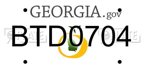 BTD0704 Georgia License Plate