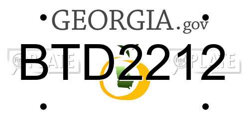 BTD2212 Georgia License Plate