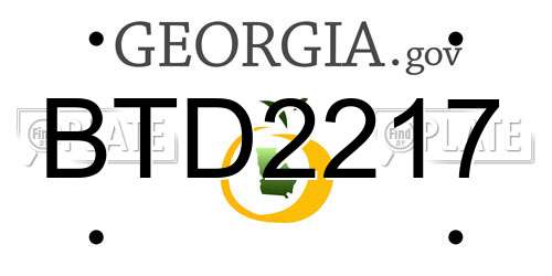 BTD2217 Georgia License Plate
