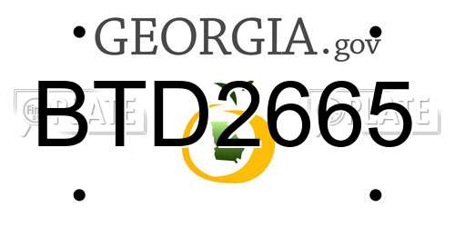 BTD2665 Georgia License Plate