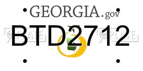 BTD2712 Georgia License Plate