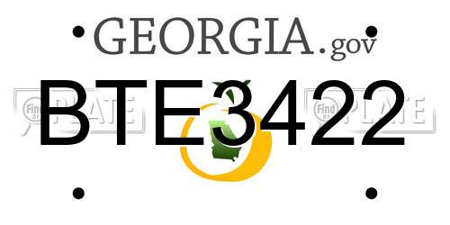 BTE3422 Georgia License Plate