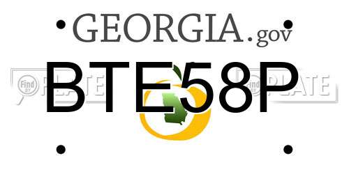 BTE58P Georgia License Plate