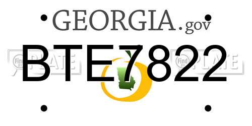 BTE7822 Georgia License Plate