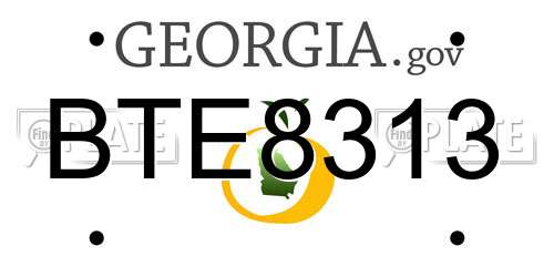 BTE8313 Georgia License Plate