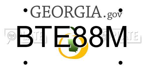 BTE88M Georgia License Plate