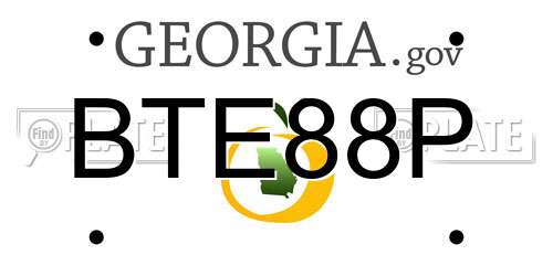 BTE88P Georgia License Plate