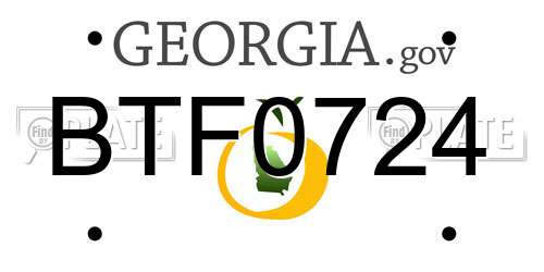 BTF0724 Georgia License Plate
