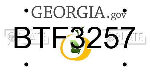 BTF3257 Georgia License Plate