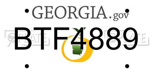 BTF4889 Georgia License Plate