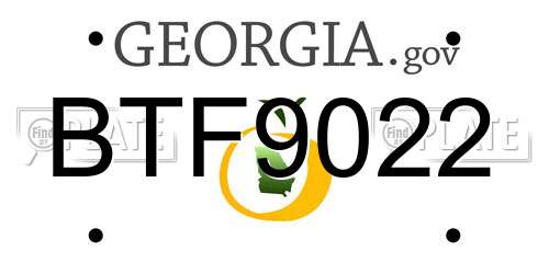 BTF9022 Georgia License Plate