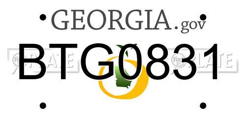 BTG0831 Georgia License Plate