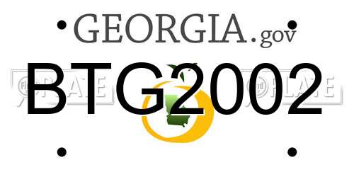 BTG2002 Georgia License Plate
