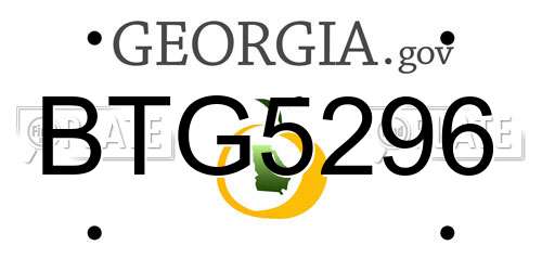 BTG5296 Georgia License Plate