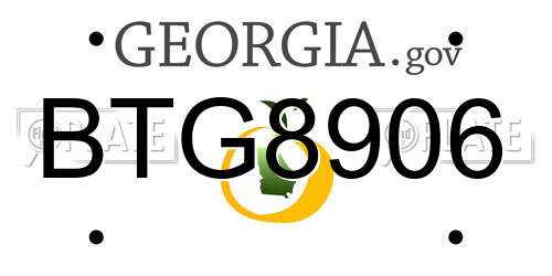 BTG8906 Georgia License Plate