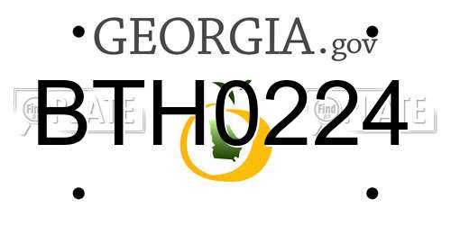 BTH0224 Georgia License Plate