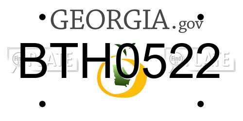 BTH0522 Georgia License Plate