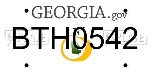 BTH0542 Georgia License Plate